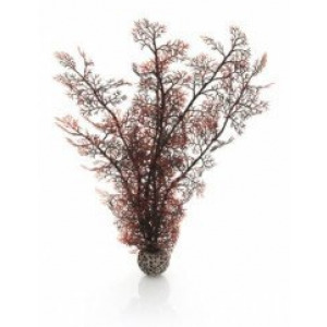 BiOrb Gorgonia szkarłatna, duża