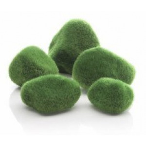 BiOrb Kamienie pokryte mchem