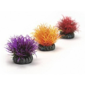 BiOrb Kule roślinne, kolorowe