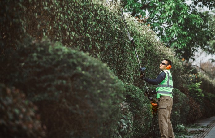 ECHO HCA-2620 ES - Sekator na wysięgniku (2)