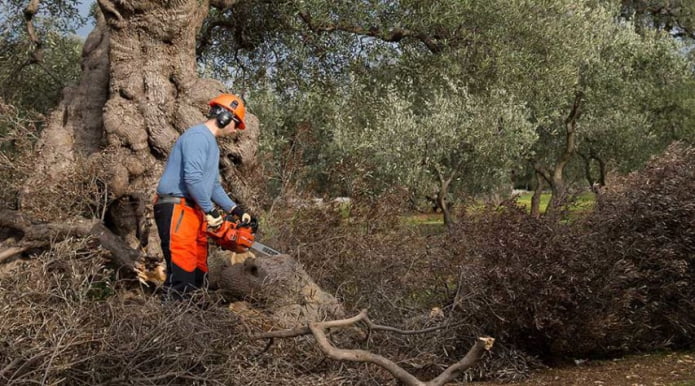 ECHO CS-361 WES - PILARKA (2)