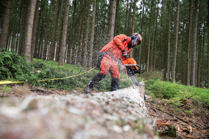 ECHO CS-7310 SX - PILARKA (4)