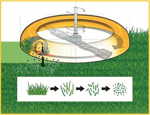 Ekologiczna pielęgnacja trawnika