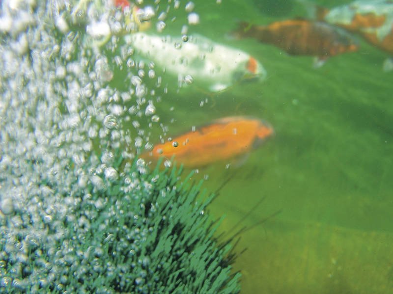 OxyTex Set 1000_picC