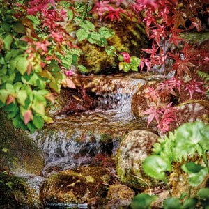 PondoMax Eco 8500 C_picA1