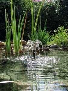 Pontec PondoVario 1500_picA3