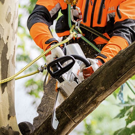 STIHL MSA 161 T_picA1