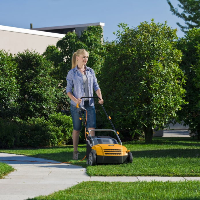 Wertykulator SV 213 E_picA5