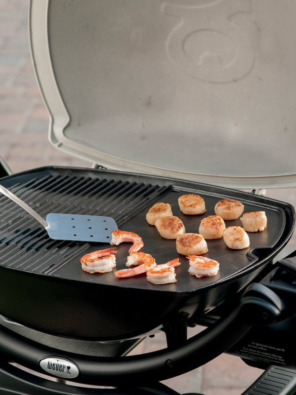 żeliwna płyta - gbs_picA2