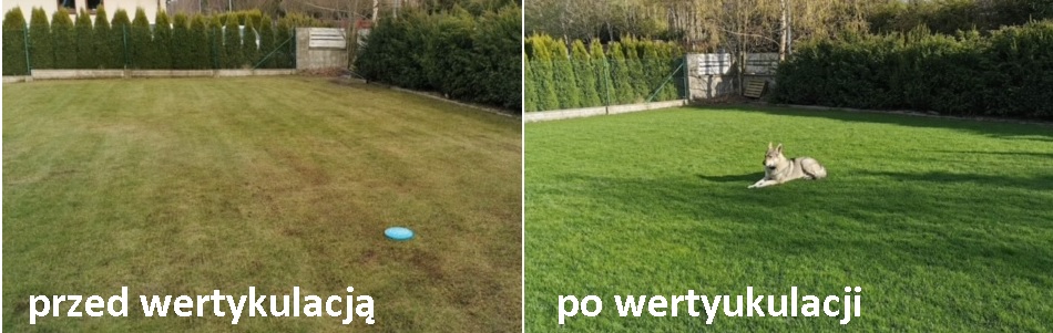 wertykulacja efekt przed i po