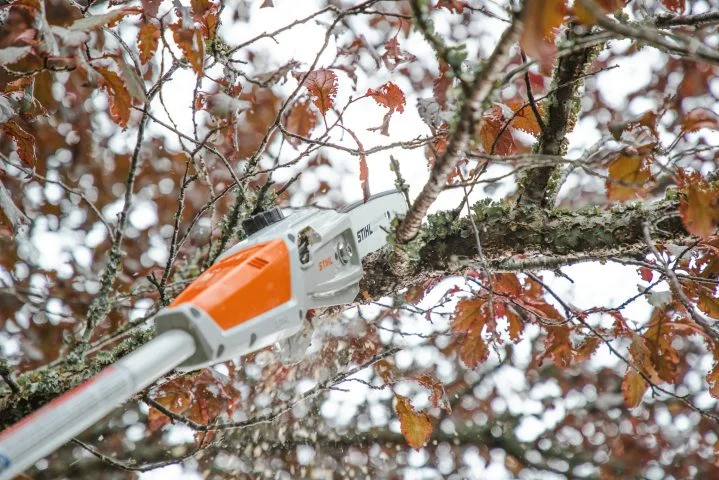 Stihl HTA 50 - Lekka podkrzesywarka akumulatorowa o dużej wydajności cięcia do wszelkich prac związanych
z pielęgnacją drzew.