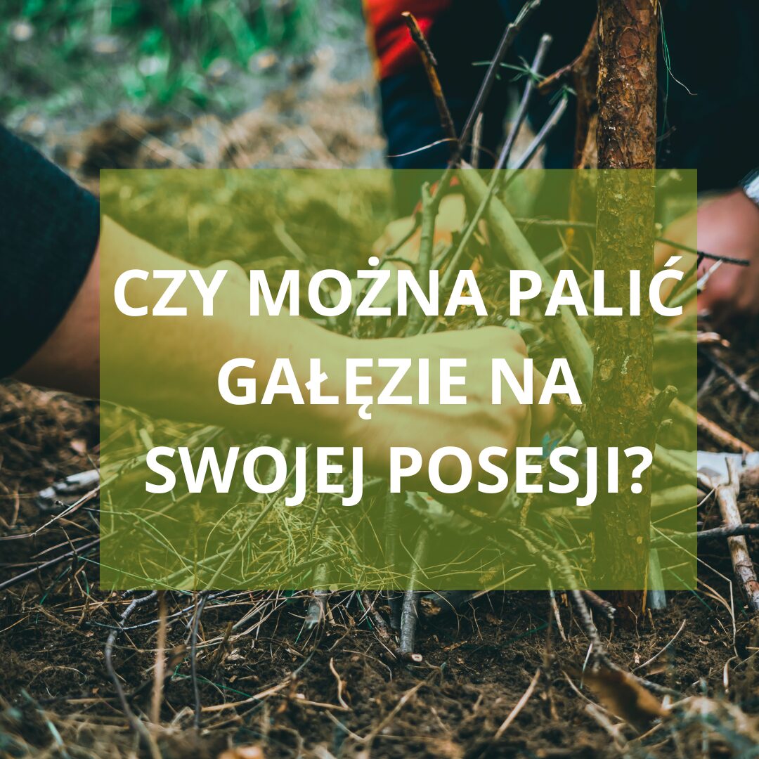 Czy można palić gałęzie na swojej posesji?