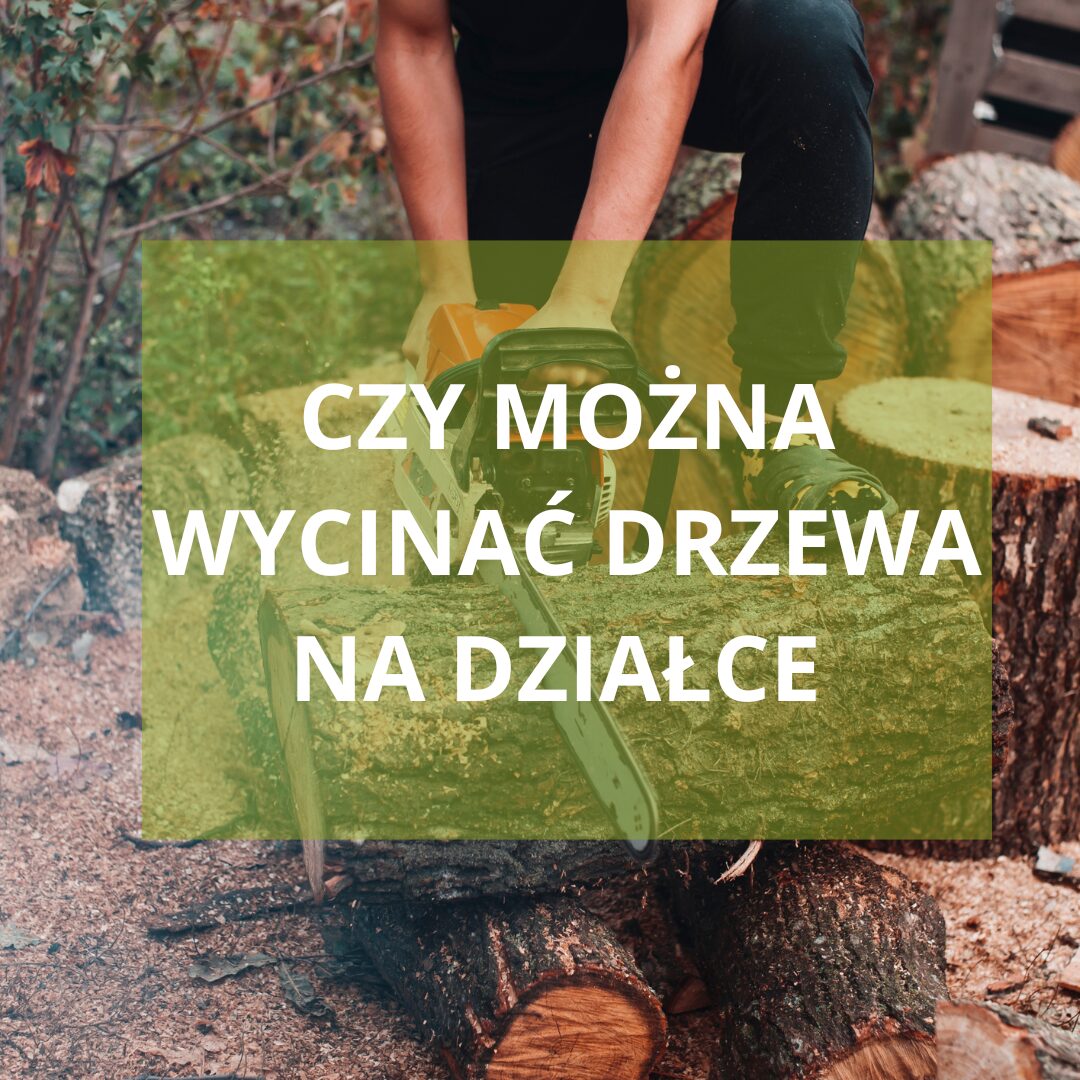 CZY MOŻNA WYCINAĆ DRZEWA NA DZIAŁCE