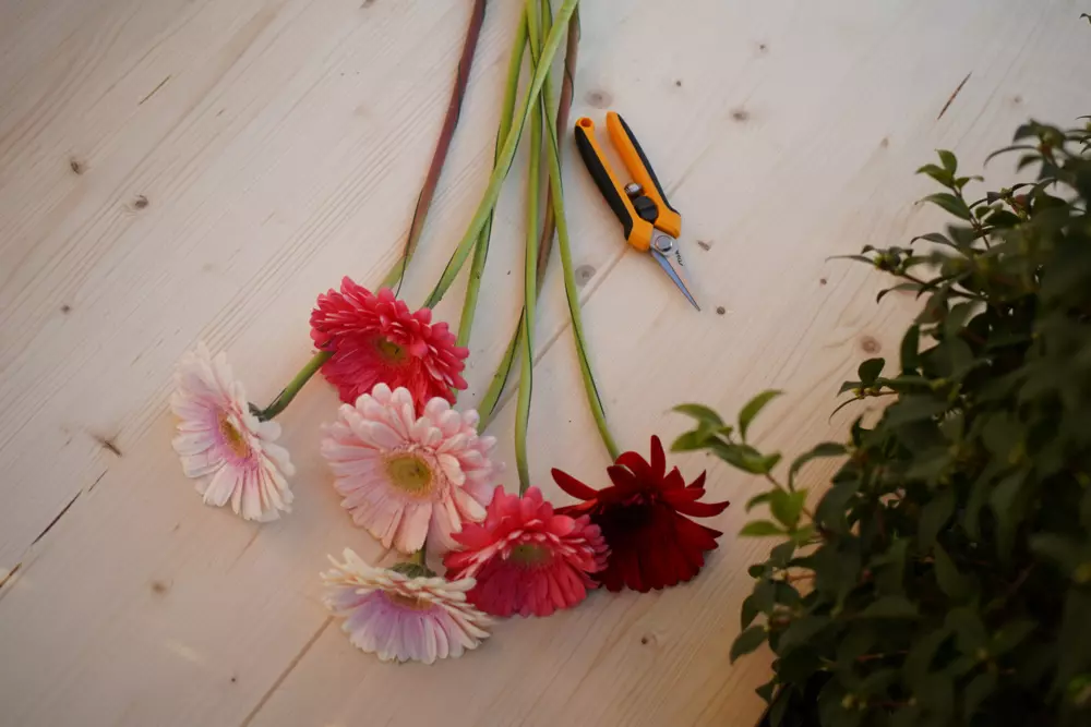 Stiga Nożyczki do wycinania roślin - Wzmocniona, wygodna rączka zapewnia pełną kontrolę nad cięciem.