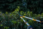 Teleskopowe nożyce do żywopłotu_11