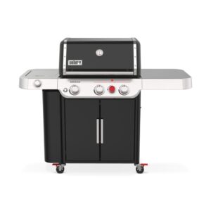 weber genesis e-335