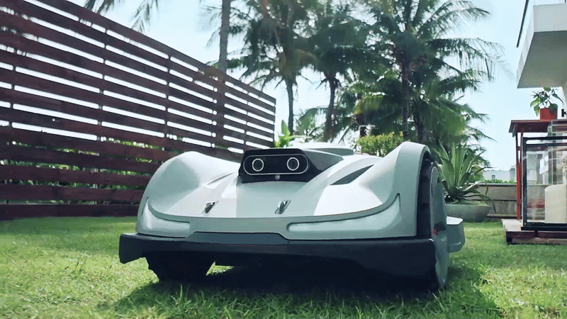 Delikatne podejście do trawy