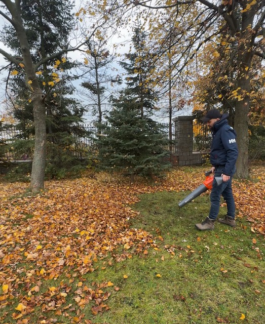 czy mozna palic liscie 