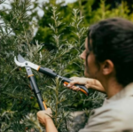 Zrzut ekranu 2026-02-20 112544