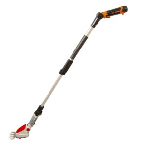 IGBS 1210F; nożyce do trawy i gałęzi z wysiągnikiem